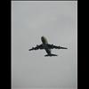 IMG_6592
3/21/2007 2:06:40 PM